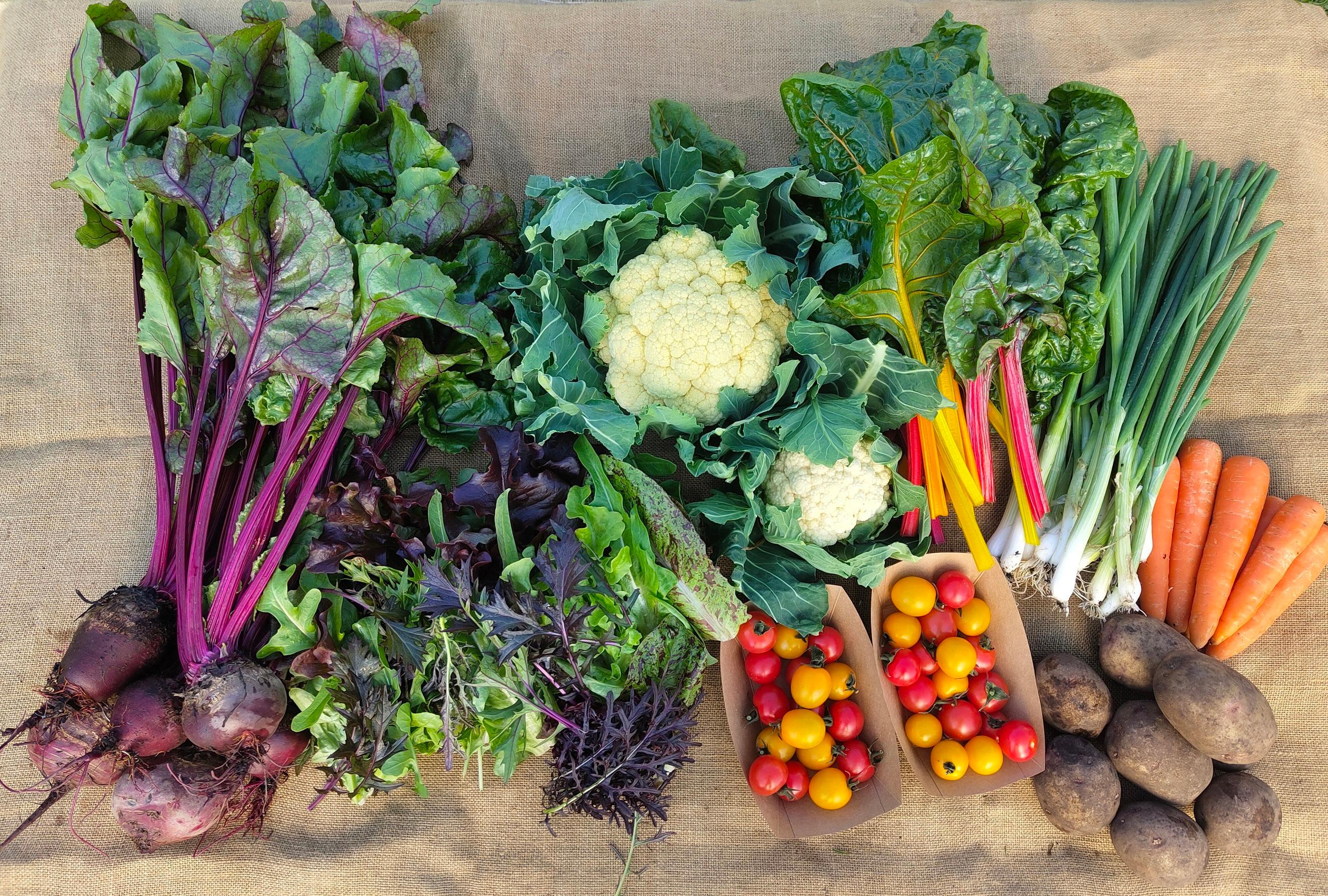 Full House Veg Box