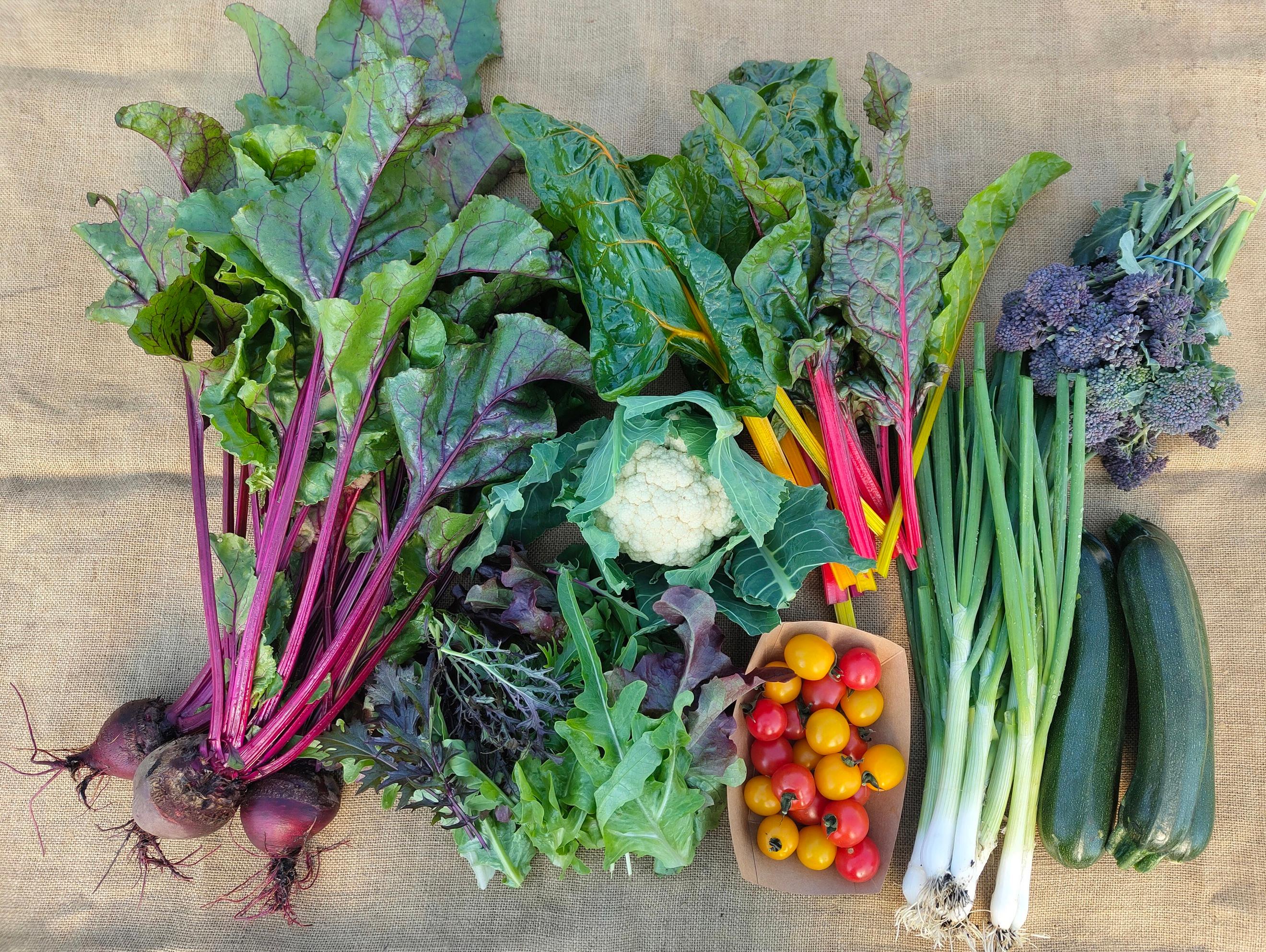 Medium Veg Box