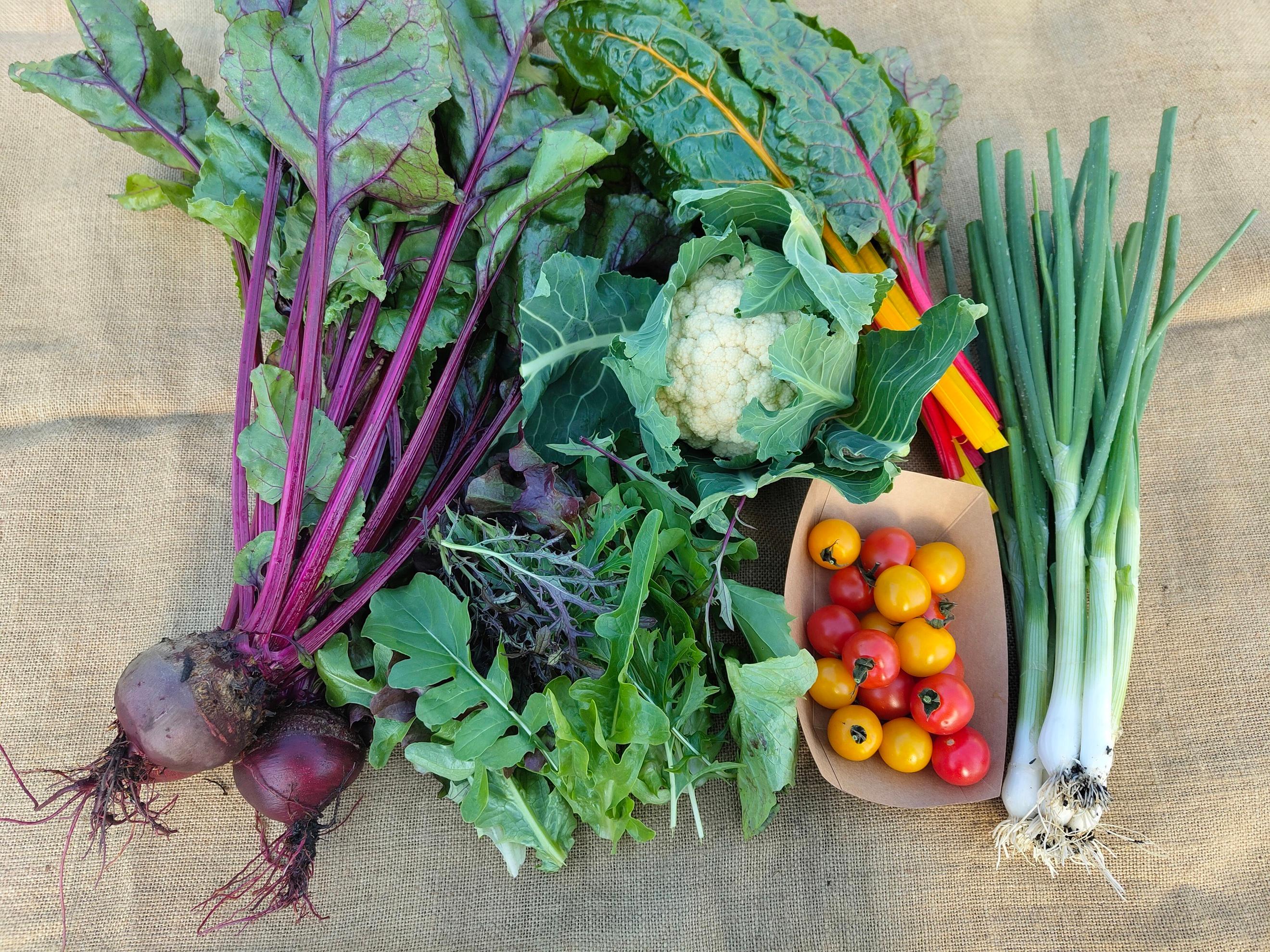 Small Veg Box