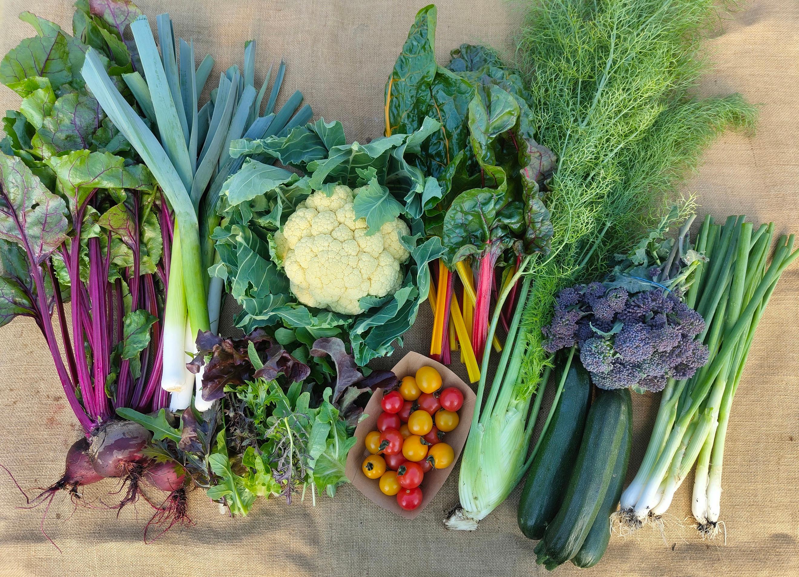 Large Veg Box